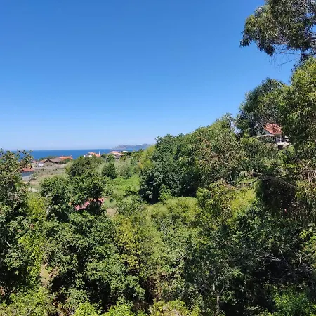 La Cabanita De Marisa *